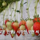 홍이네하우스 이미지
