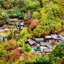 (주)한국관광여행사 이미지