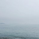 통영 비진도 ‘예슬민박’