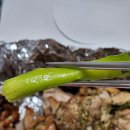 찌웅이네 - 남구 수영로266번길 122 | 구서동 찌웅이네 숯불두마리치킨 금정점 배달 후기