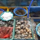 고흥녹동회타운 이미지