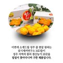 삼시세끼연구소 이미지