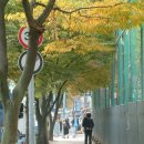 선부중학교 이미지