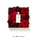 레드로즈 이미지