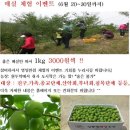 산들청과