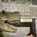 산천농장 | 아기랑 오키나와 여행2일차 -2 : 엄청났던 나고 파인애플 파크