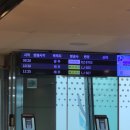 세븐일레븐 신화점 | 제주 신화 월드 알바 후기 꿀팁공유 - 제주도 가는 날!