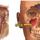 연세이웃치과 이미지