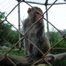 백운농장 이미지