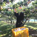 이종범농장 이미지