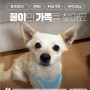 꿀이/여아/4살 이미지