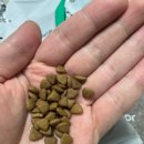 보람그루밍 이미지