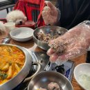 일산애견동반식당 맛있고 친절한 신난낙지닭 다녀온 후기