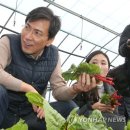 김정남농장 이미지