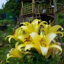 김영환농장 이미지