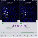 나무늘보,요정 이미지