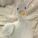 꼬앙꼬앙 네이버블로그