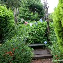 나문재관광농원 | 2406 태안 여행 (1): 수국 명소 '팜카밀레 허브농원'