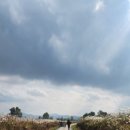 전주초포초등학교 | 🏃‍♀️ 전주 러닝코스 추천 | 세병공원~아중리천변 하프 연습코스 후기