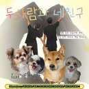 마루돈까스 - 중구 | 청평 현지인 맛집 야장에서 캠핑처럼 즐긴 바베큐와 돈까스 후기 - 가평 수제돈까스마루
