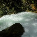 ■ Lynn Canyon Park 이미지