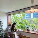 부산게스트하우스 노마드인부산 이미지