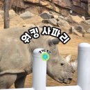 이광희 농장 | 에버랜드 로스트밸리 워킹 사파리 첫날 오픈런 솔직 후기