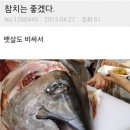 이유참치