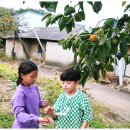 윤하농장 이미지