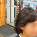 늘푸른헤어