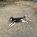 정원펜션 | [국내] 함안 1박 2일 가을 여행 | 감 따기·여항산정원펜션 숙박 후기