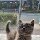 남구-037 이미지