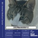 봉선아이동물메디컬센터 이미지