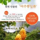 여주-0646 Daum카페