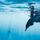 유크리에이션 이미지