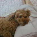 타임투그룸(TIME TO GROOM) 이미지