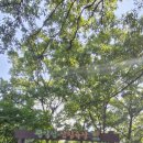 771차2609023[평일산행] 관악산 이미지
