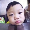 정치03 이미지