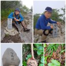 배내민박 이미지