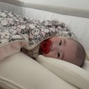 엔젤유치원 | 154일 성장일기+엔젤 침대구매하기