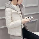 제시수입의류 이미지
