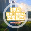 2024년 상반기 마지막 날로 시작하는 블챌 포토덤프