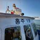 죽도야영체험장 이미지