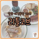 리틀코브 | 양양 인구해수욕장 애견동반 카페 리틀코브에서 브런치랑 맥주로 더위 달랜 후기