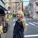 리즈컬러 이미지