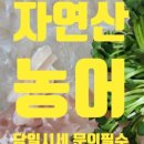 성진수산 이미지