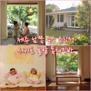 귤밭민박