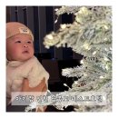 릴리브미 | 4개월 아기랑 네스트호텔 / 스탠다드 더블룸 이용 솔직 후기(디럭스 X, 벙커룸 X)