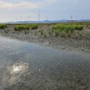 그리고 봄 펜션 민박 이미지