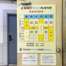 토마스치과의원 티스토리